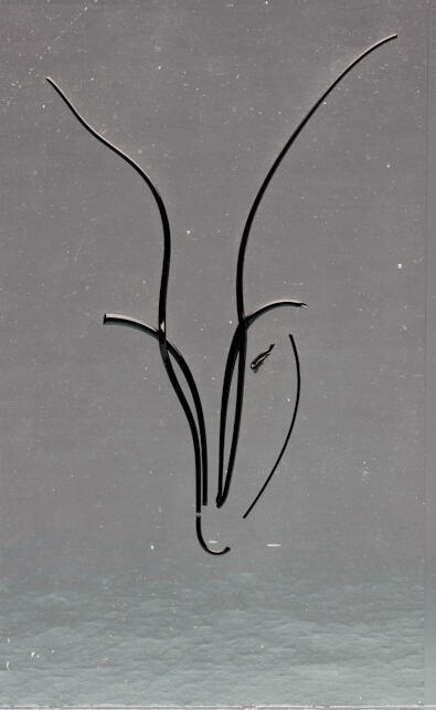 Glass Line Drawing